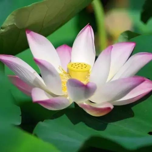 �����ˣ����������ж��