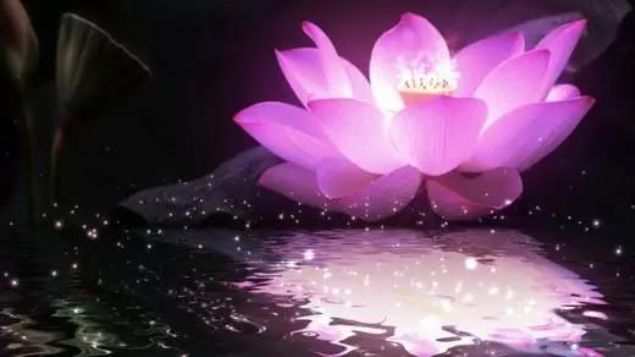 �������ŷ����Ļ����п־���