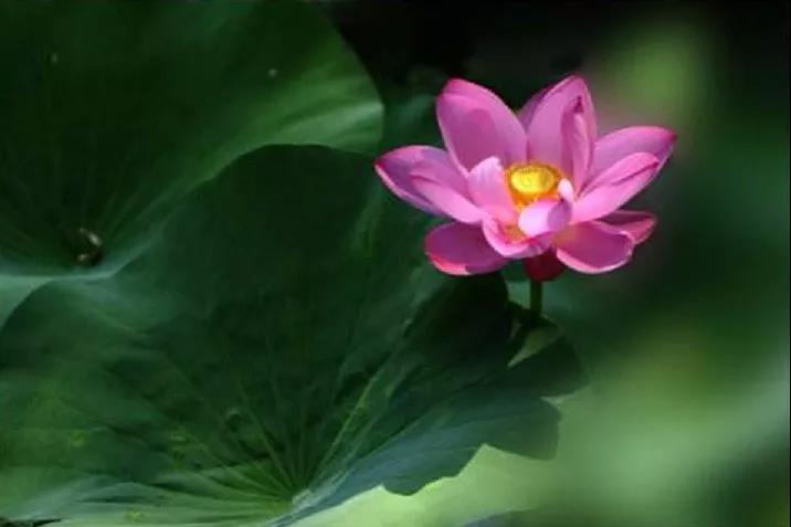 �����Ϻ��У��������¡��޷��վ���������_��Ҫ��ȥ