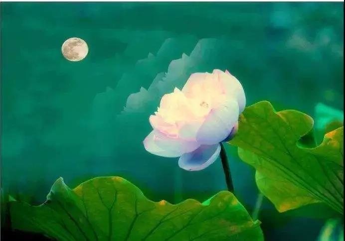 ���������ҵ��ʺ��Լ�������