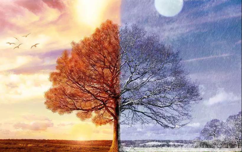 ���������ҵ��ʺ��Լ�������