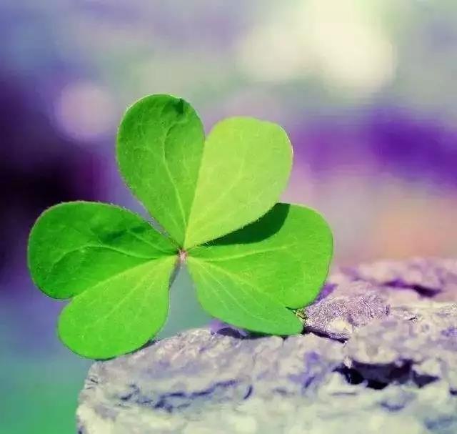 ���������ҵ��ʺ��Լ�������