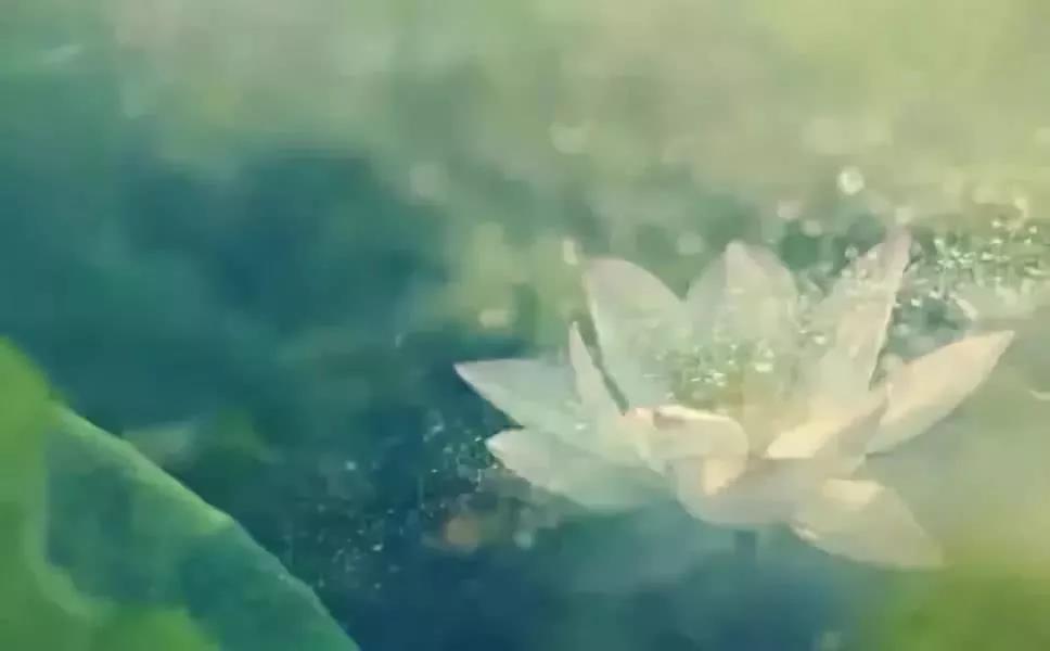 Ϊʲô�е��˴����ܸ�ȴ���ܷ��ƣ��е���ȴ�������¸���