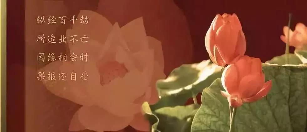 Ϊʲô�е��˴����ܸ�ȴ���ܷ��ƣ��е���ȴ�������¸���