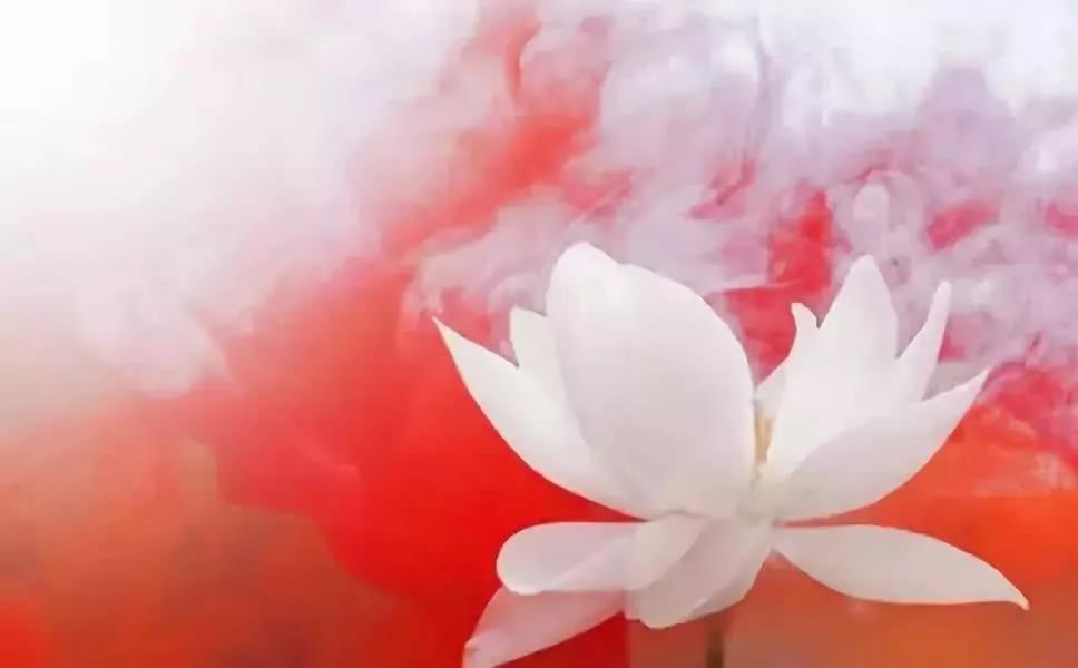 Ϊʲô�е��˴����ܸ�ȴ���ܷ��ƣ��е���ȴ�������¸���