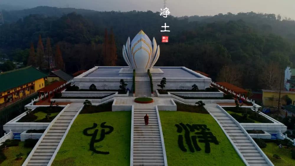 ����Ϊ׷�������������ΰ��꣬����վ��������Ȼ���򡭡�