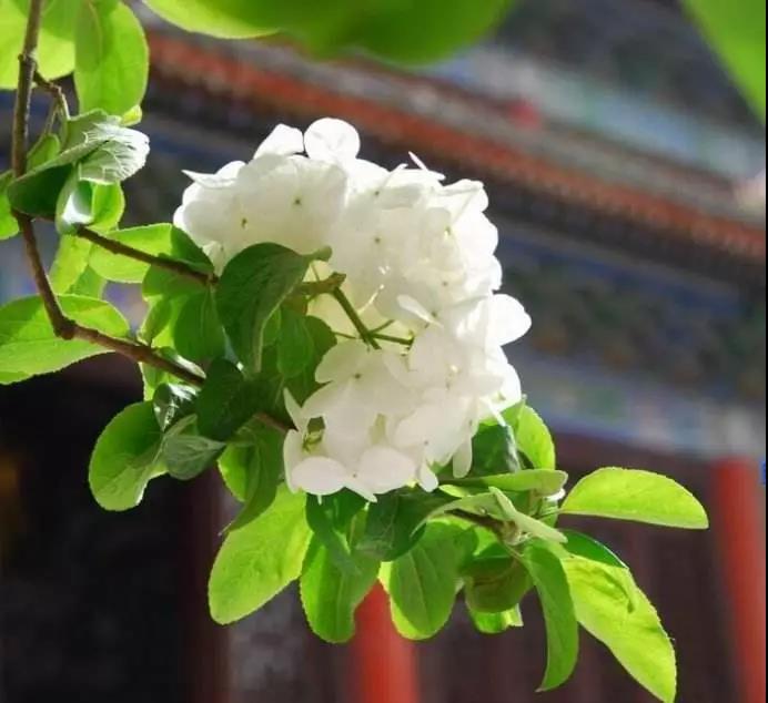 һ����ʦ�������������ӵ�ʱ�򣬷�������ͬ��