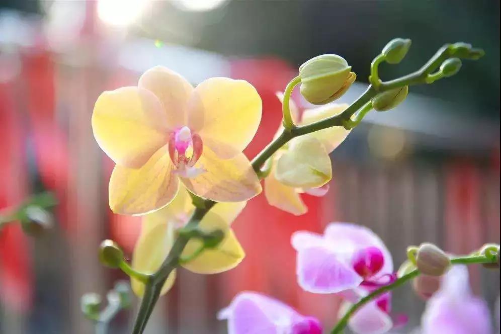 һ����ʦ�������������ӵ�ʱ�򣬷�������ͬ��