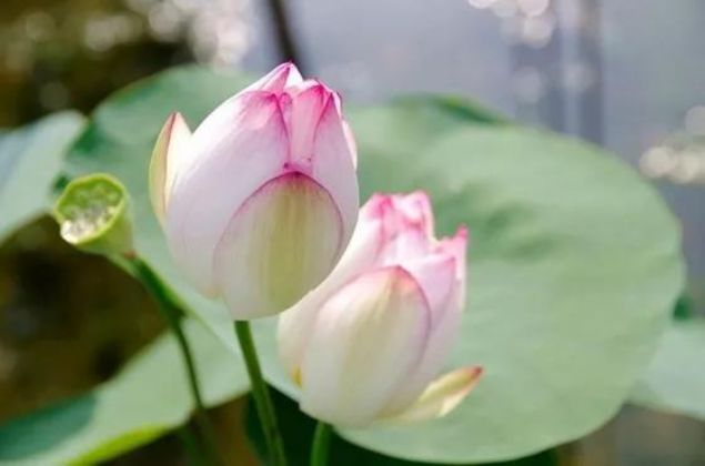 �q���ʦ��ѧ��֮������Զ��˼�˽�