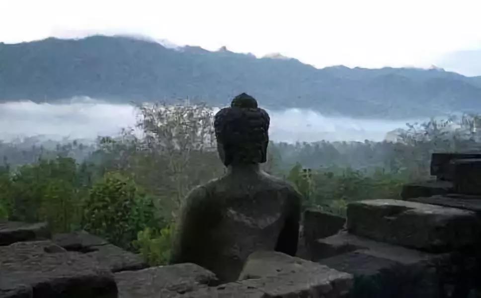 ��α�����������ͨ����ͨ��