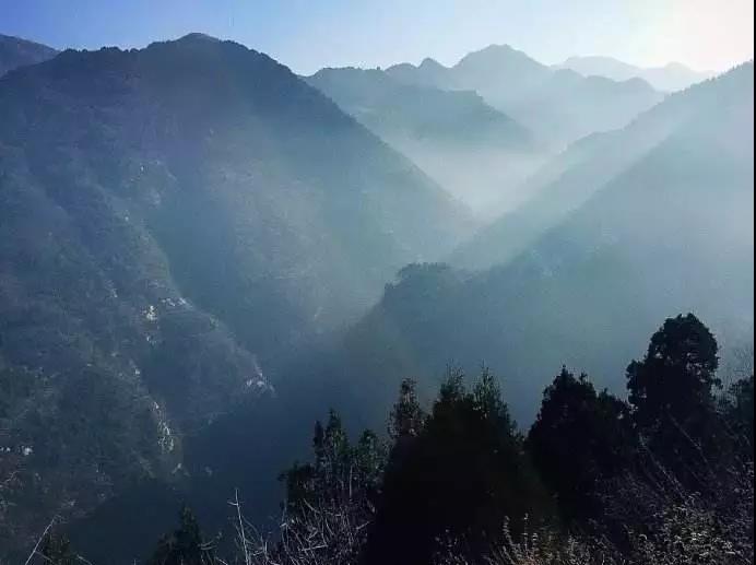 ��α�����������ͨ����ͨ��