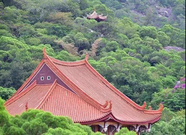 业障很重,我该怎么转?梦参长老教你! 业障很重,我该怎么转?梦参长老教你!