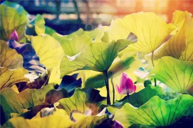 ����ʱ�м�������������������̫�����ˣ�