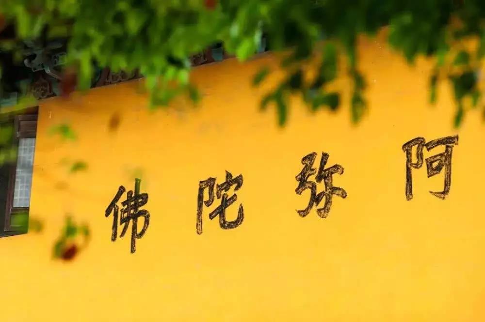 你会拜佛,但你真的信佛吗? 你会拜佛,但你真的信佛吗?