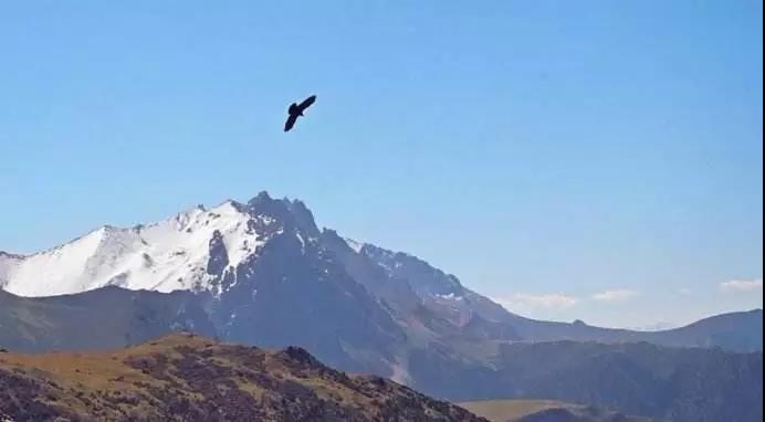 �κ��˵Ŀ��֣�����ǰ����