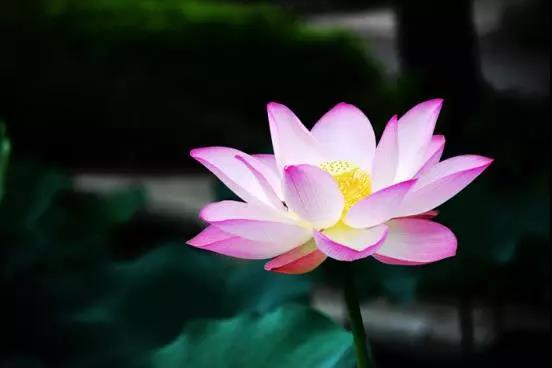 ��ʮ�������������������ʲôʱ��ʼ������