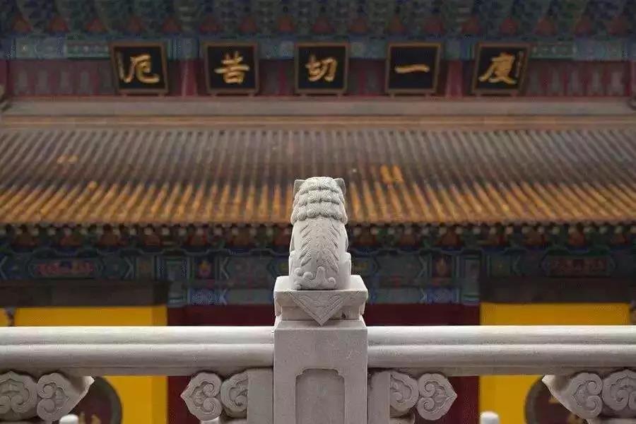 不执着,就无挂碍,也就不会有杂念 不执着,就无挂碍,也就不会有杂念