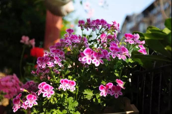 �������ù���������һ��ʵʵ���ڵ���