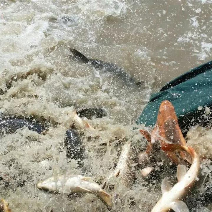 �編�ط�һ���㣬����������ʮ����ɱ������ҵ