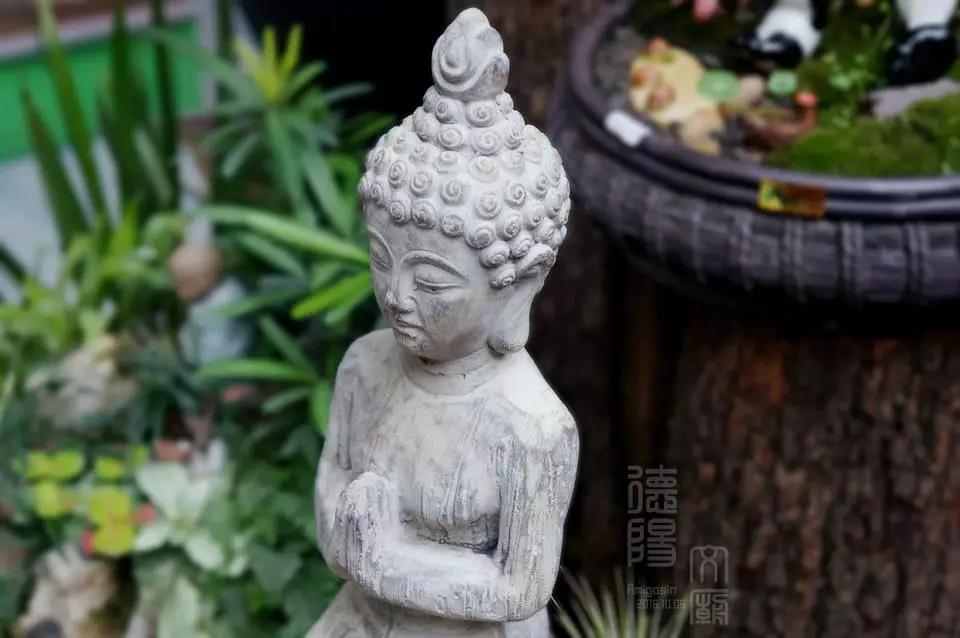 印光法师:菩萨畏因,众生畏果 印光法师:菩萨畏因,众生畏果