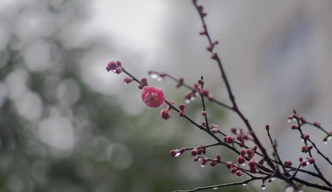 Ϊʲô��Щ����������ˣ���Щ�����û�����أ�