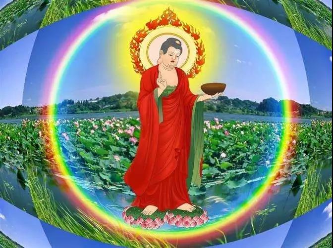 ����������������������Ƿ���������������