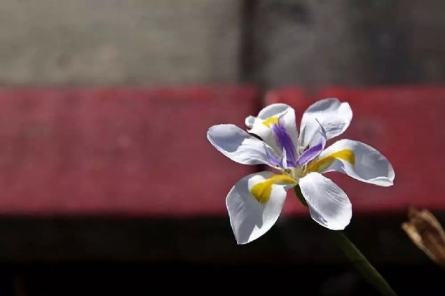 为什么福报越修越少?这些细节一定要注意 为什么福报越修越少?这些细节一定要注意