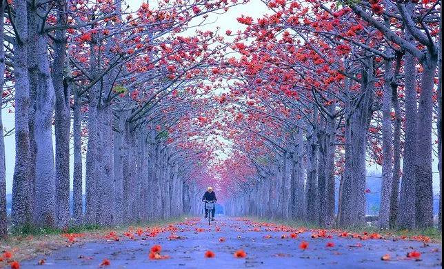 为什么每天念经拜佛自己还是觉得烦恼呢? 为什么每天念经拜佛自己还是觉得烦恼呢?