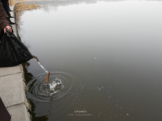 积福慧己亥年(2019)首期放生法会回顾 积福慧己亥年(2019)首期放生法会回顾