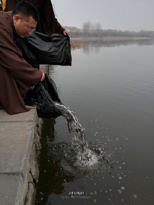 积福慧己亥年(2019)首期放生法会回顾 积福慧己亥年(2019)首期放生法会回顾