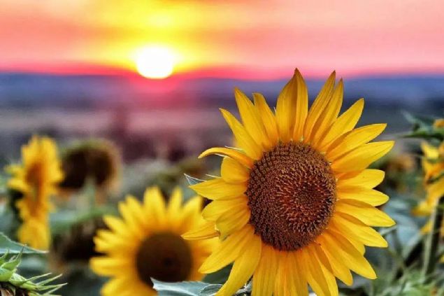 学佛久了最怕的就是起傲慢心,怎么破? 学佛久了最怕的就是起傲慢心,怎么破?