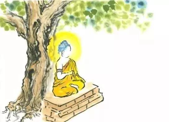 ���չ�ӭ����Ĳ�������գ����ӵĳ���������������ĸ�����