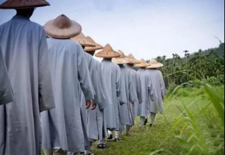 �ٻ��������ƬҶ��մ�����м�����������