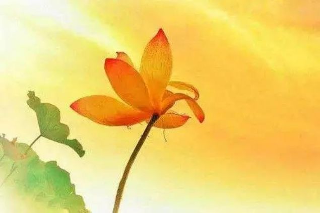 《六祖坛经》六句话,让你看清生命真相! 《六祖坛经》六句话,让你看清生命真相!