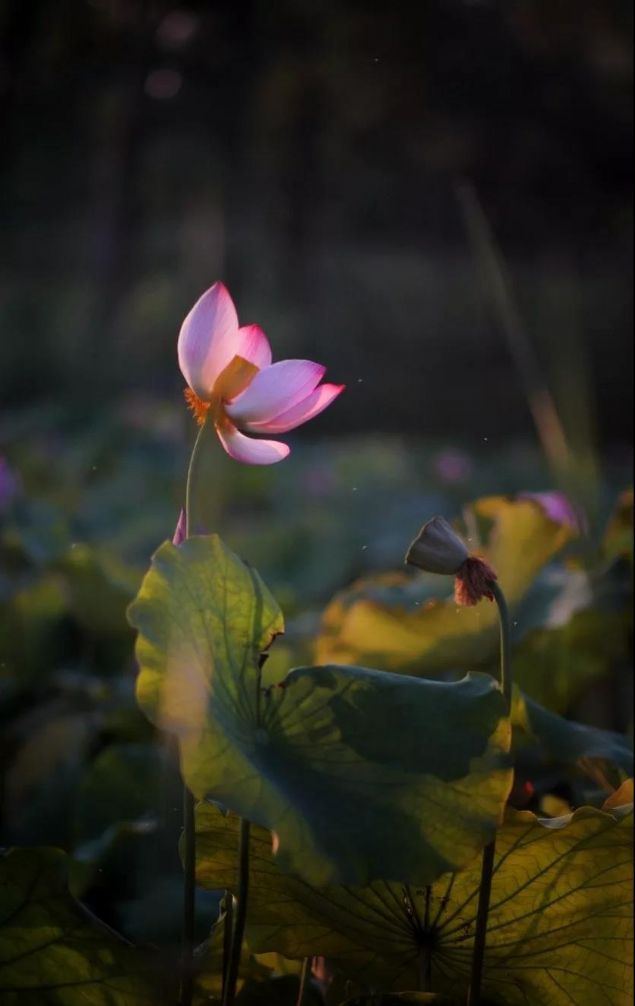 һ���˿������գ����ǲ�����ߵ�