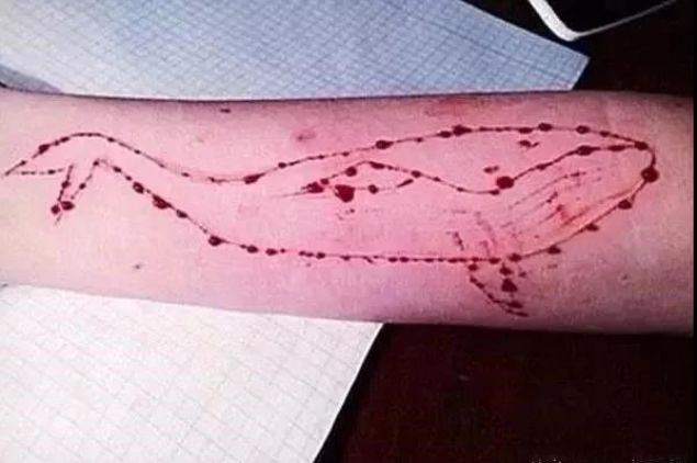 û���κ��������Իٵ���һ����������һ����