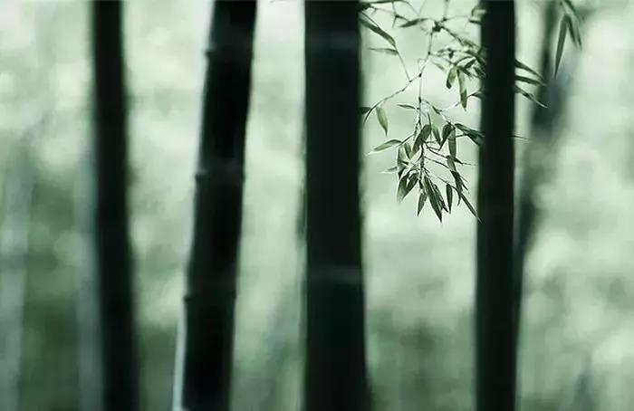 一诚法师:求快不求深,成不了大器 一诚法师:求快不求深,成不了大器