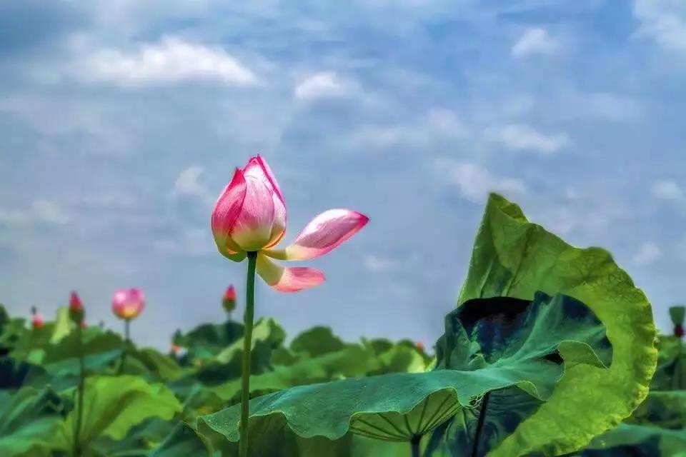 ץס���е���Ҫ���磺�����ġ������Ƿ𷨵ĸ���