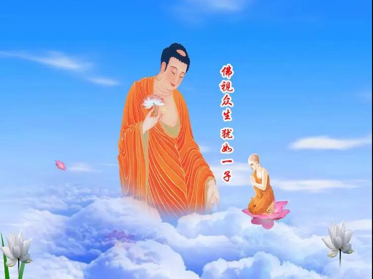 如果阿弥陀佛今天来接我…… 如果阿弥陀佛今天来接我……