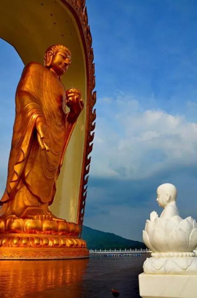 如果阿弥陀佛今天来接我…… 如果阿弥陀佛今天来接我……