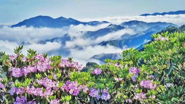 ���±����жϣ����벻�ã���������֪����