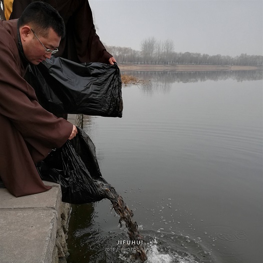 积福慧启建己亥年释迦牟尼佛涅槃日暨第二期放生法会!(已圆满) 积福慧启建己亥年释迦牟尼佛涅槃日暨第二期放生法会!(已圆满)