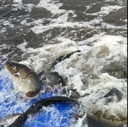 �������Ǽ��з���֮��ȱ�