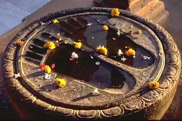 ��ʤ����Ĳ�����ʵ��ӡ�����߸�������˼�飡