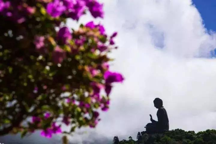 �˼䲻ֵ�ã������������ѧ���������