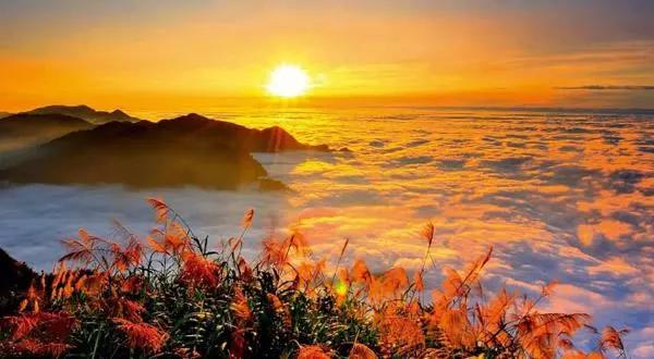 做人的九种智慧 做人的九种智慧