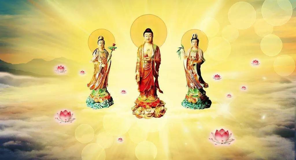 ������������������ܲ���������