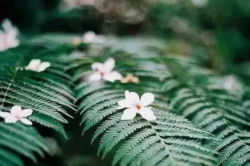 �����������ţ���ô����������ֻأ�