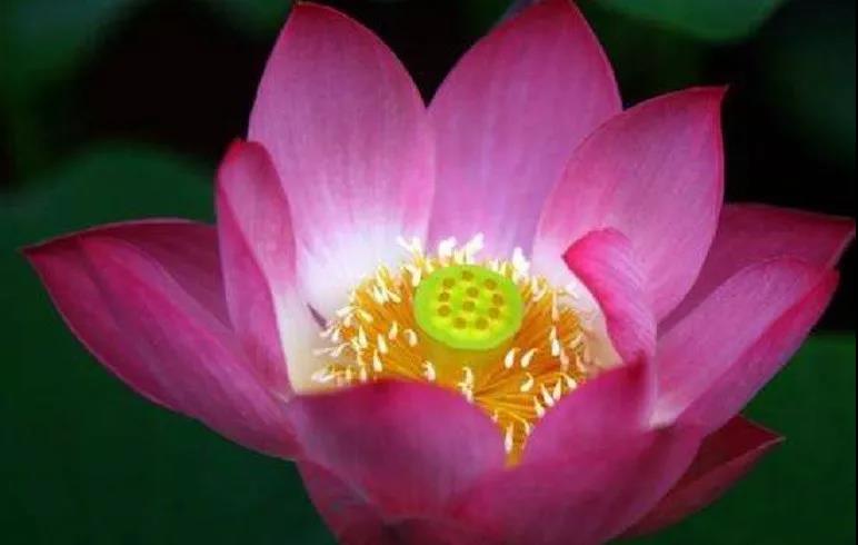 面对困境的十二字箴言 面对困境的十二字箴言