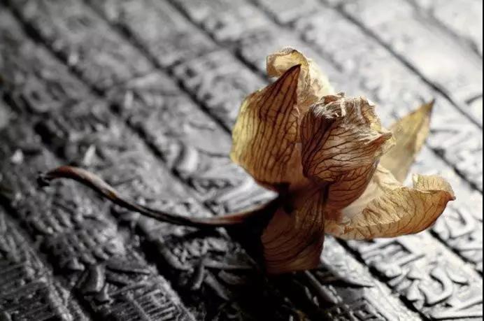 修行——破除妄想、颠倒、习气 修行——破除妄想、颠倒、习气